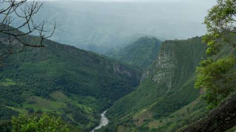 La Buenavista: el abismo donde paramilitares desaparecieron a más de 600 personas