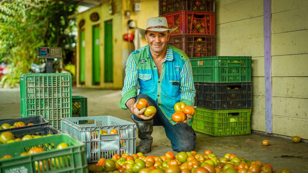 Las iniciativas productivas deberán tener un valor entre los $1.200 y $5.000 millones.
