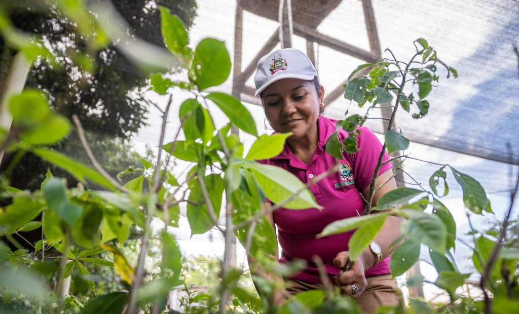 La lideresa social Raquel Espinosa en el vivero Alto Morrocoy, de la Asociación Aampy.