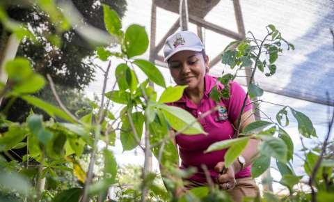 Las mujeres que han sembrado más de 130.000 árboles para restaurar la Amazonia