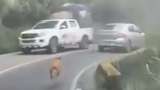 En video: perro persigue desesperadamente a sus dueños tras ser abandonado en la vía