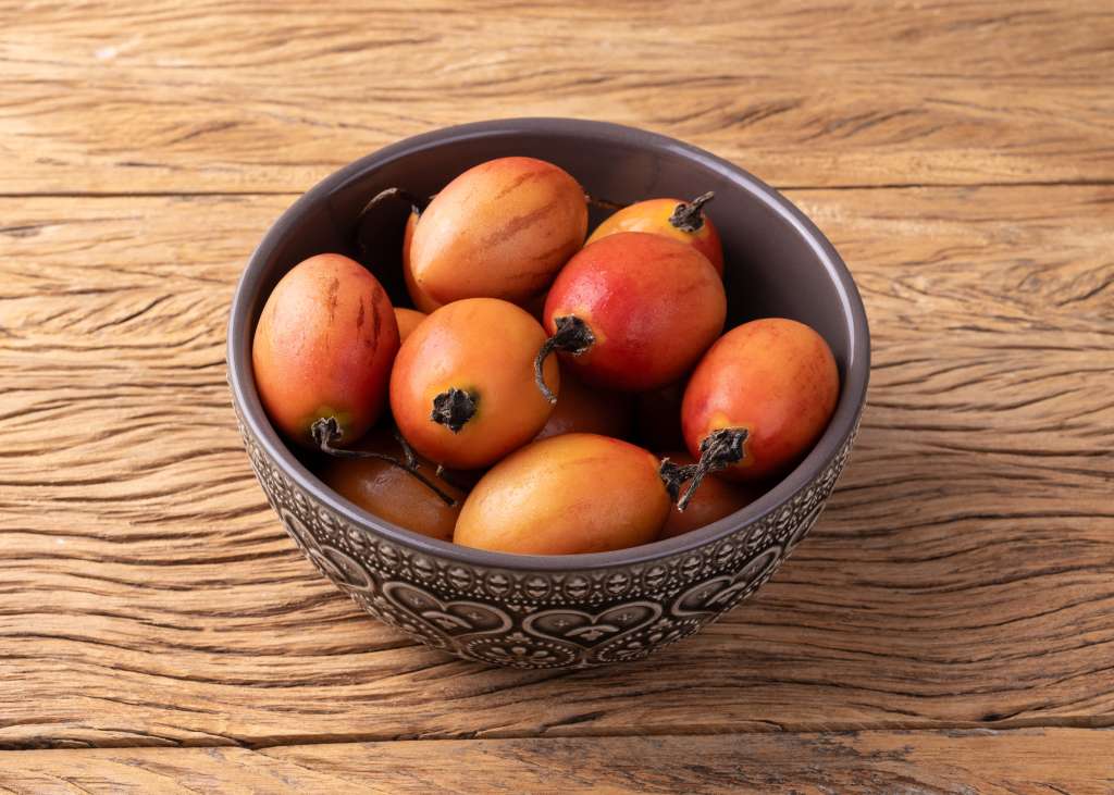 Tomate de árbol