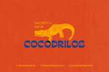 Reptiles lectores, rarezas creativas y otras curiosidades