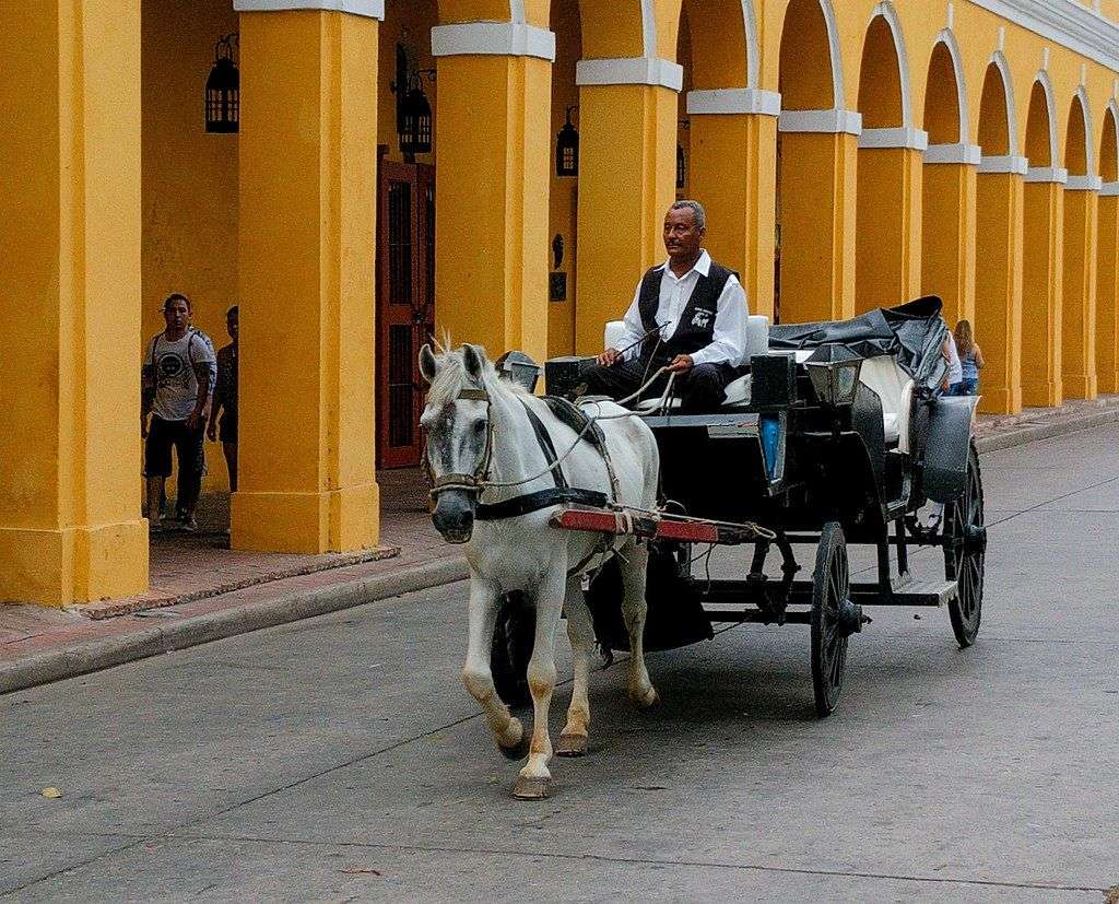 El centro histórico de Cartagena dejará de operar con tracción animal tras la entrada en vigencia del decreto que regulará el transporte turístico.