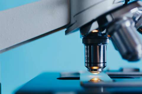 La ciencia, otra víctima de la guerra entre Rusia y Ucrania