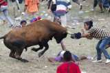 Consejo de Estado determinó que las fiestas de las corralejas no pueden prohibirse