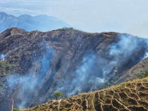 Hay 32 incendios activos en el país y 13 están en Tolima, la zona más afectada