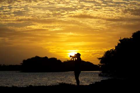 Entre playas, pantanos y manglares: así es el encanto verde de Miami