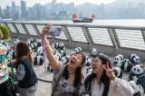 Pandas bebés: la apuesta de Hong Kong para recuperar turistas