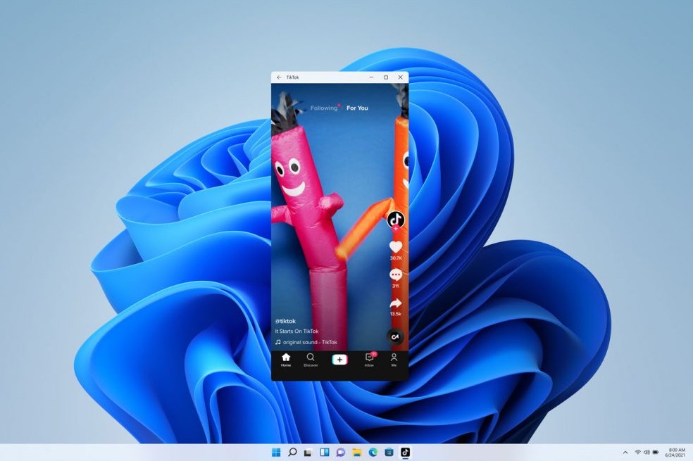 Windows 11