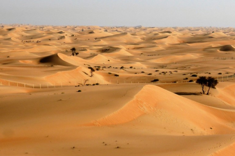 El Sahara oscila entre clima seco y húmedo cada 20.000 años