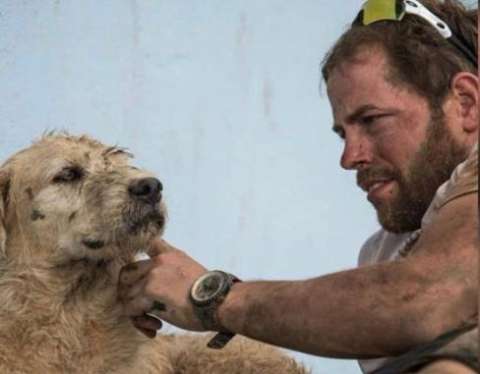 La historia de Arthur, el perro callejero que inspiró una película de Hollywood