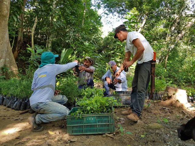 Los subsidios propuestos por el gobierno buscan fortalecer y reactivar el campo.