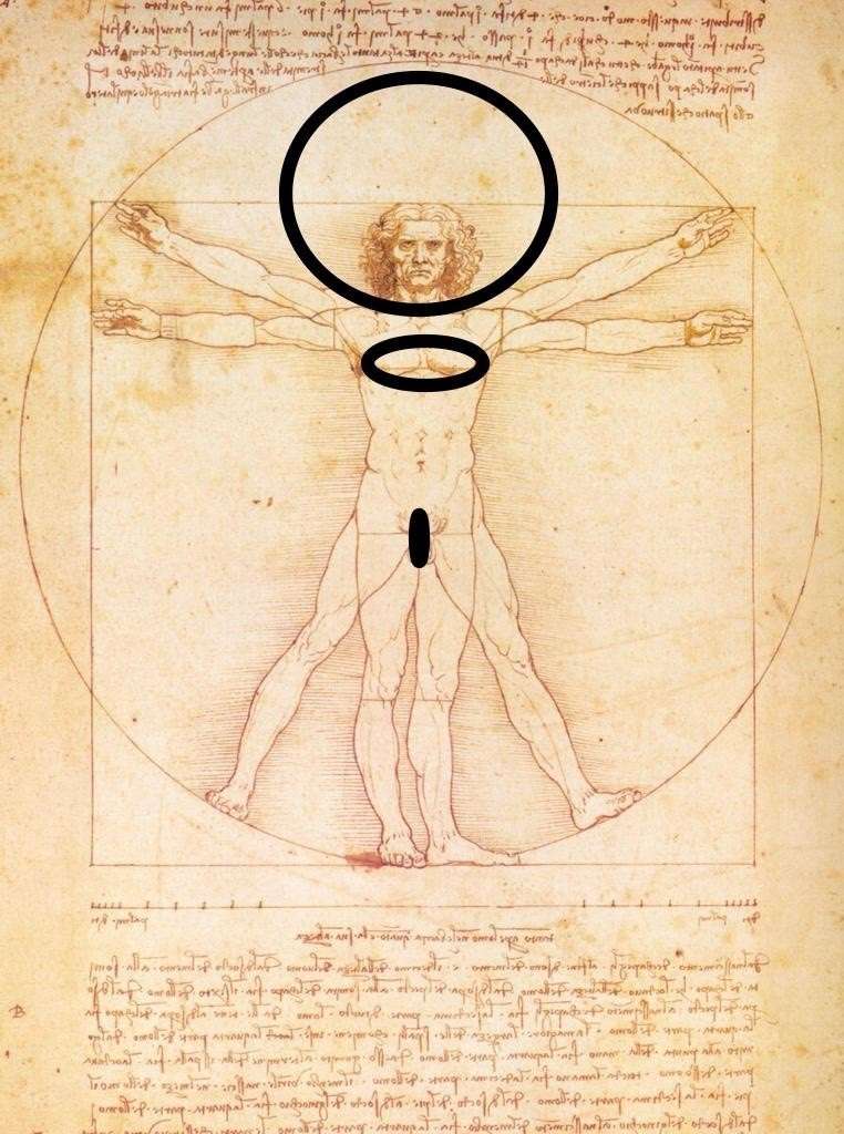 Por supuesto que en la región cabeza/pensamiento están la razón, “los conceptos”, las ciencias, las matemáticas, el lenguaje... Desde este centro (torre de control) se manejan las áreas del conocimiento consideradas importantes, prioritarias, “masculinas” o viriles: competencias “duras”, asociadas al éxito, al poder político y económico... En este sistema solar, la cabeza (el cerebro y la mente) es el Astro Sol alrededor del cual gira todo lo demás. Por lo general, en el currículo, ocupan las materias de esta zona más del 85 % del tiempo...