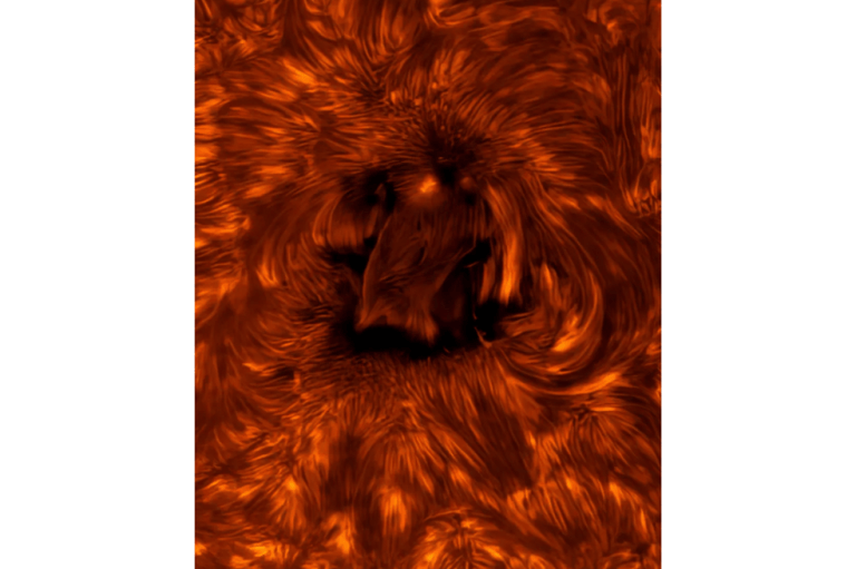 "Esta imagen increíblemente detallada de una pequeña parte de la superficie solar me pareció totalmente fascinante. Su belleza abstracta transmite maravillosamente el movimiento constante e ¡irradia pura energía de fusión!".