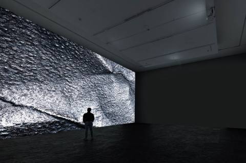 Últimos días de la exposición “Desminar”
