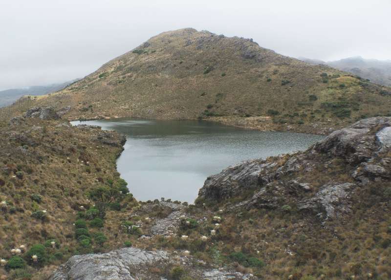 Páramo de Santurban