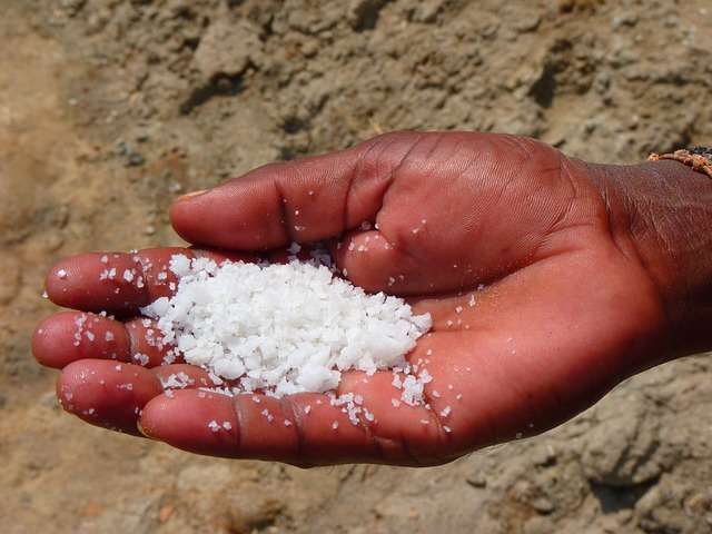 La lengua tiene receptores capaces de identificar cinco sabores: el dulce, el ácido, el amargo, el umami y el salado/Imagen tomada de Pixabay