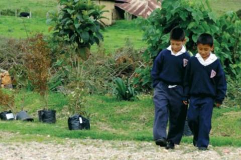 Continúa suspensión de clases en escuelas del Catatumbo por enfrentamientos armados