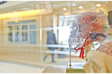 Bogotá contará con el primer laboratorio de investigación en neurocirugía de Latinoamérica