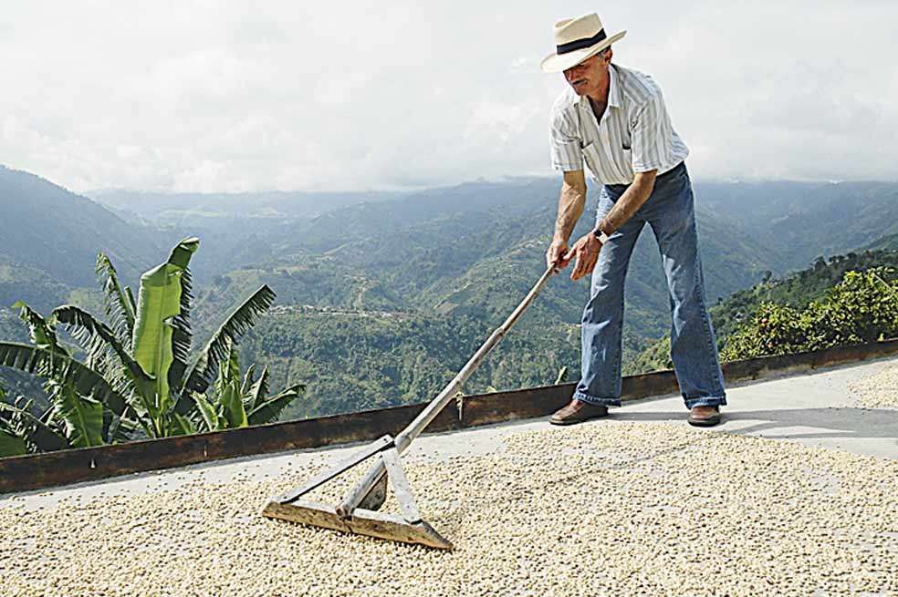 Se considera que el agro es el que tiene una gran desventaja comercial.