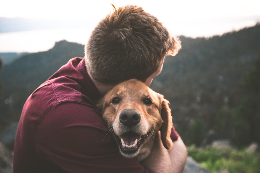 ¡Feliz Día Mundial del Perro! Conoce 5 ideas para darle amor a tu peludo
