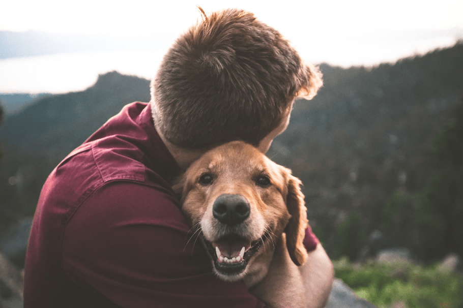 ¡Feliz Día Mundial del Perro! Conoce 5 ideas para darle amor a tu peludo