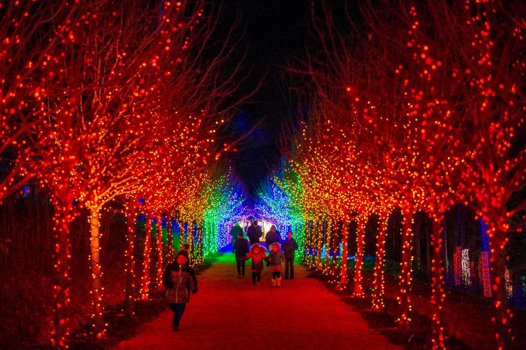 Cerca de 200.000 luces decoran un paraíso invernal por donde la gente camina en Naumkeag, en Stockbridge, Massachusetts, la ciudad navideña número uno en Estados Unidos.