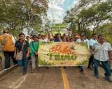 Sonríe el campo: Agencia de Tierras entrega 44.000 hectáreas productivas a campesinos
