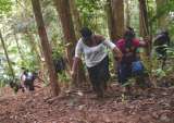 Las travesías de la migración por el Urabá y el Tapón del Darién