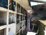 Intervendrán el cementerio de Tumaco para identificar más de 200 desaparecidos