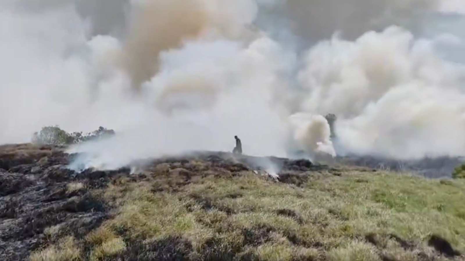 Bomberos de Bogotá y Cota trabajan para controlar el incendio forestal registrado en el humedal Jaboque, con apoyo de drones y la Defensa Civil.
