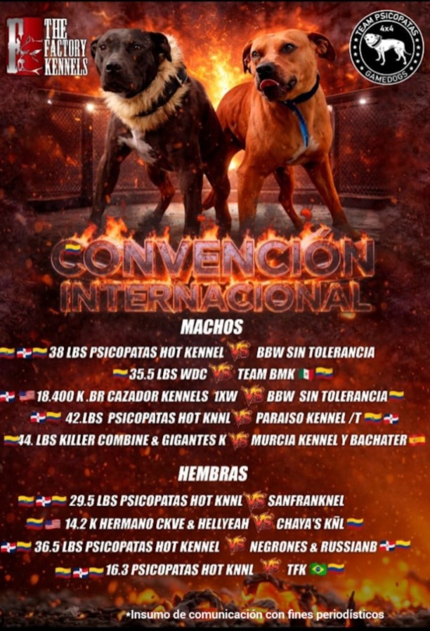 En el cartel que promocionaba el evento, con combates entre machos y hembras, figuran como organizadores o asociados los nombres “The Factory Kennels” y “Team Psicópata Gamedogs”, quienes serían los encargados de la logística.