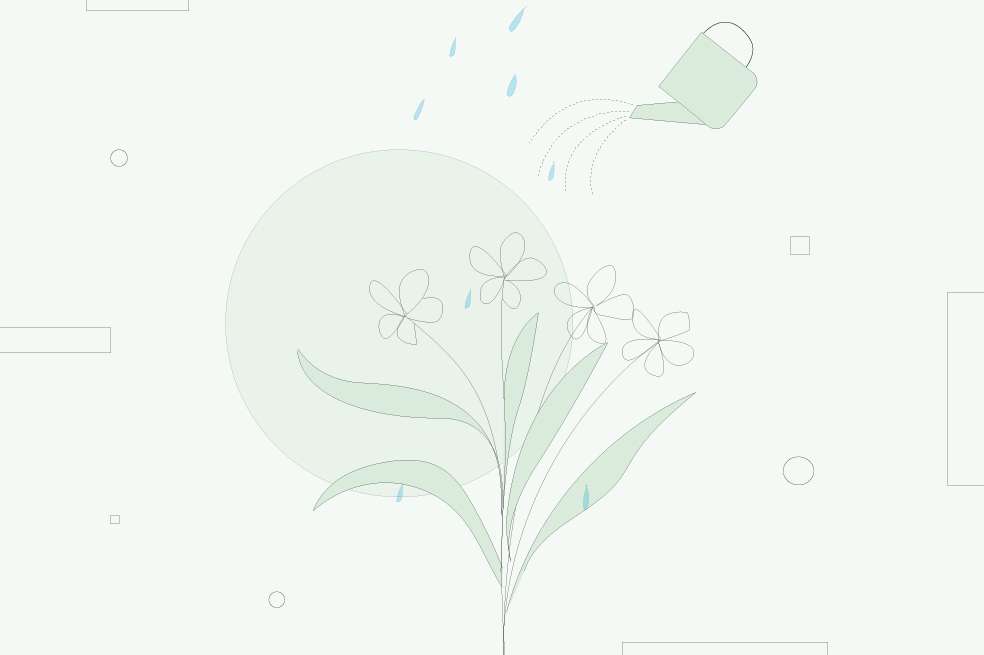 tips para tener un buen riego