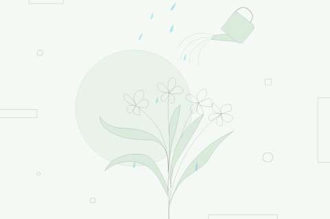 ¿Cómo y cuándo echarle agua a las matas?