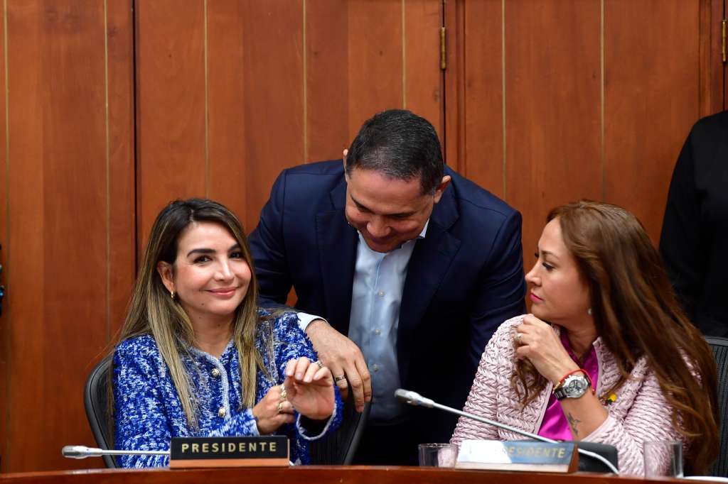 Senadora del partido Conservador durante el debate de la reforma laboral del gobierno de Gustavo Petro la cual se hundió en la Comisión Séptima del Senado