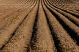 El agro está desfinanciado, versión 4.578 millones