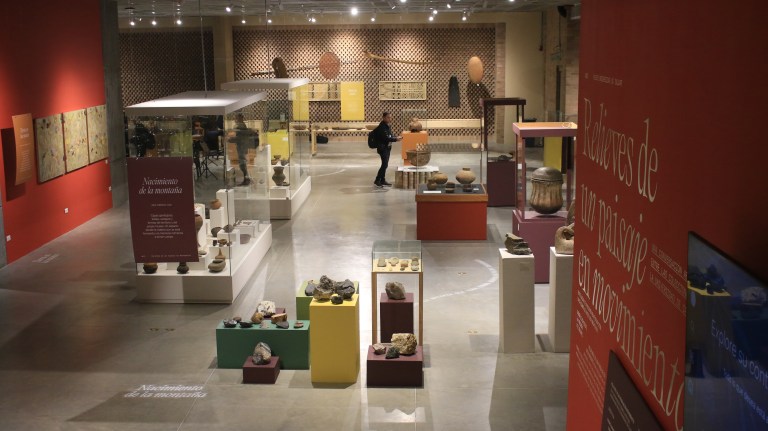 Manizales inaugura el Museo de la Universidad de Caldas con fósiles, arte y hallazgos únicos