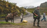 Nevado del Ruiz: ¿cómo cuidar a los animales por la caída de ceniza?