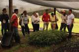 Participación y diálogo para la construcción de la política pública de agroecología