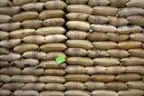 Para mitigar efectos de El Niño entregan fertilizante gratis a cafeteros