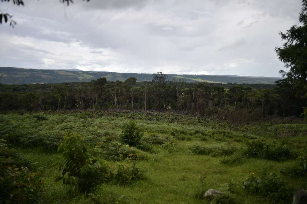 Deforestación en el departamento del Meta