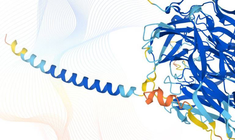 Predicen la estructura de casi todas las proteínas que forman un ser humano
