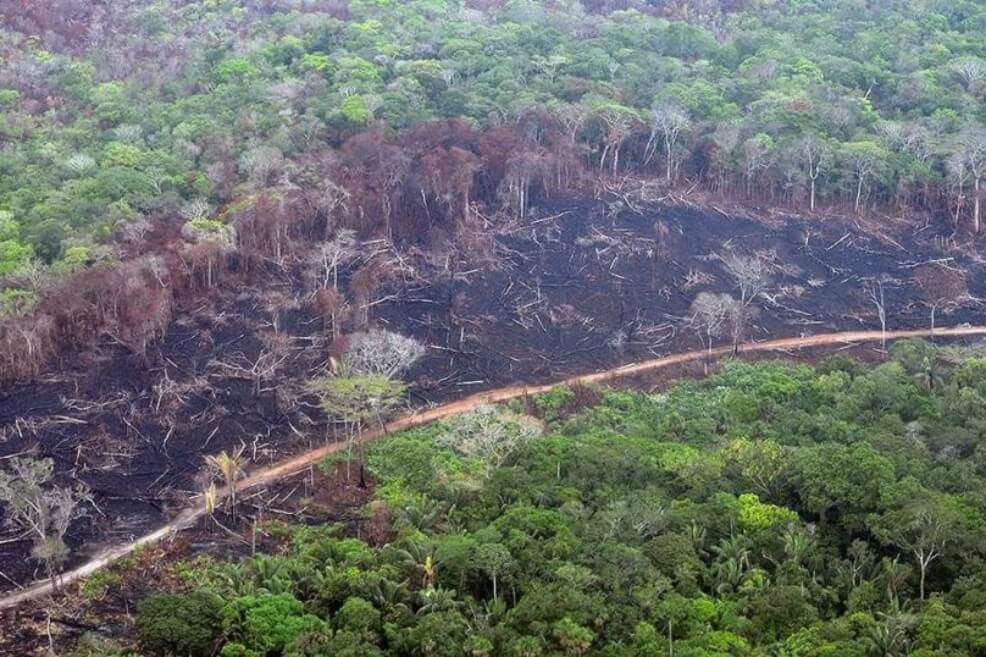 Deforestación en Guaviare. / Fundación para la Conservación y el Desarrollo Sostenible