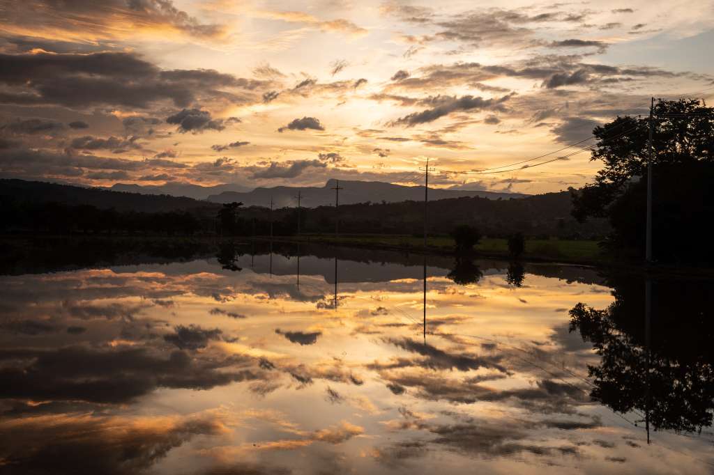 Un atardecer se refleja en un cultivo de arroz inundado en Catatumbo.
