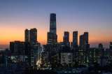 El coronavirus hace que los delfines vuelvan a Hong Kong