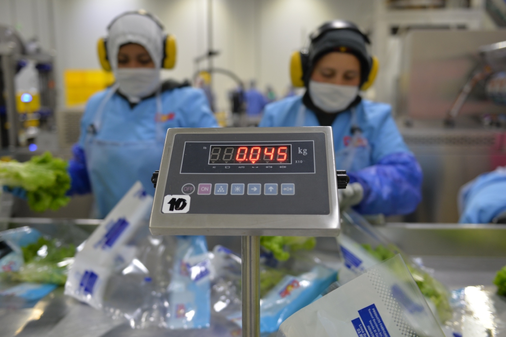 Dole es la empresa productora y comercializadora de fruta y vegetales más grande a nivel mundial. / Jhonatan Ramos.