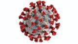 El destino del coronavirus podría ser una simple gripita
