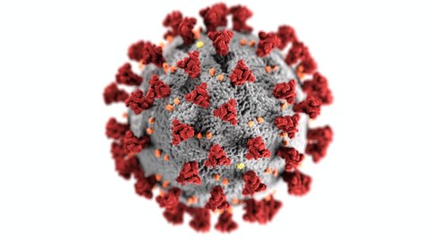 El destino del coronavirus podría ser una simple gripita