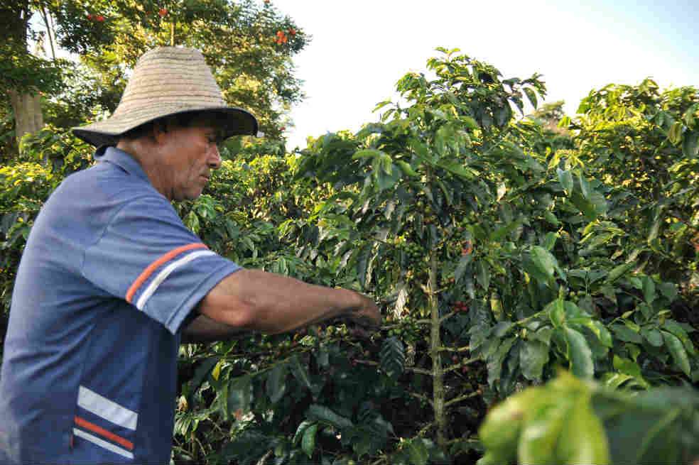 En septiembre de 2011 la carga del grano se pagaba a $1’000.000. / Archivo